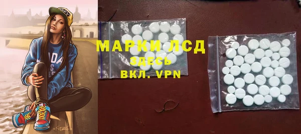 стаф Алексин