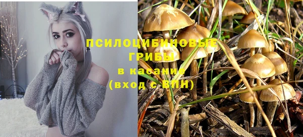 стаф Алексин
