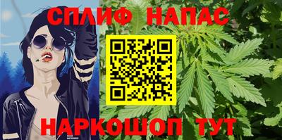 стаф Славгород