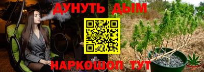 стаф Славгород