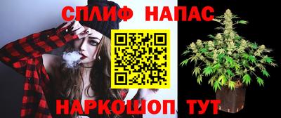 стаф Славгород