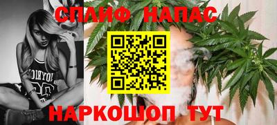 стаф Славгород